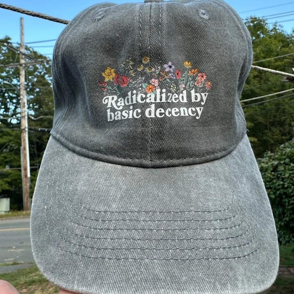 Radicalized by Basic Decency Cap - choose color Brand New